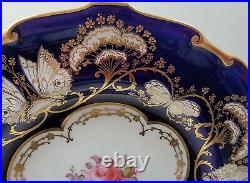 Royal Crown Derby Tiffany Cobalt Gold Scroll Floral Luncheon Plate(s)