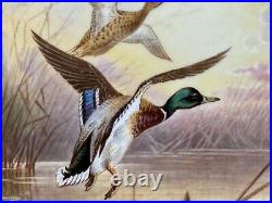 Royal Crown Derby VINE GREEN Cabinet Plate, Hand Painted MALLARD Donald Birbeck