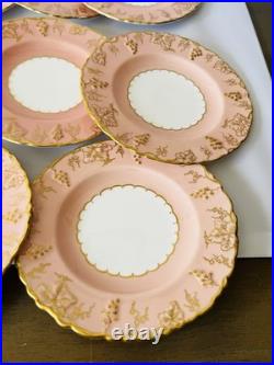 Royal Crown Derby Vine Bone China Salmon Pink Set of 8 Salad Dessert Plates