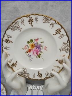 Royal Crown Derby Vine Pattern 6-8 1/4 in salad Plates (excellent condition)