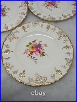 Royal Crown Derby Vine Pattern 6-8 1/4 in salad Plates (excellent condition)