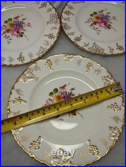 Royal Crown Derby Vine Pattern 6-8 1/4 in salad Plates (excellent condition)