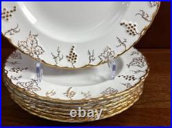 Royal Crown Derby Vine bone china dinner, set of 16, excellent