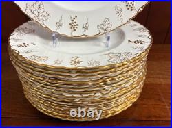 Royal Crown Derby Vine bone china dinner set of 16, excellent
