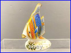 Royal Crown Derby limited Edition Pacific Angel Fish figurine, gold stopper, nice