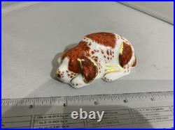 Royal Crown Derby paper weight collector's guide exclusive