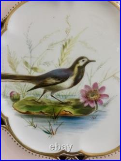 Royal Crown Derby plate