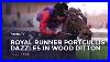 Royal-Runner-Portcullis-Dazzles-On-Debut-In-Wood-Ditton-Full-Race-2026-Racing-Tv-01-sqe