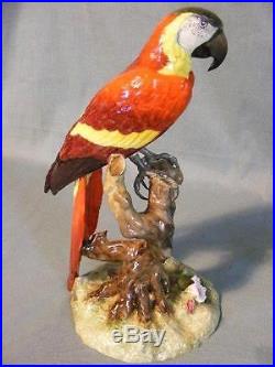 Superb 10 Royal Crown Derby Figurine Of Colorful Parrot Macaw Mint