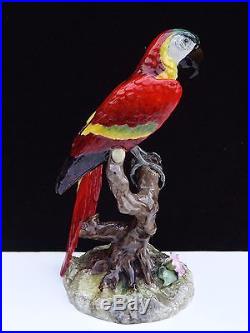 Superb Vintage Royal Crown Derby 10 1/4 Macaw Bird Figurine Listing #2