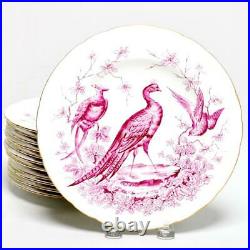 Set Of Twelve (12) Royal Crown Derby Chelsea Bird Red/pink Lunch Plates A524
