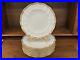 Set-of-12-Royal-Crown-Derby-CARLTON-Red-10-75-Dinner-Plates-2nd-Quality-01-uwn