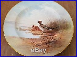 Tiffany & Co Hand Painted Royal Crown Derby China Plate Pintail Duck D. Birbeck